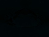 Fluorescence
