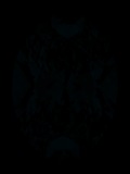 Face-up Fluorescence