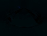 Fluorescence