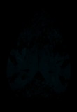 Face-up Fluorescence