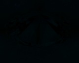 Fluorescence