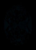 Face-up Fluorescence