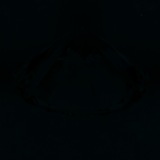 Fluorescence