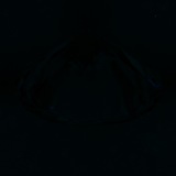 Fluorescence