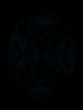 Face-up Fluorescence