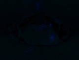 Fluorescence