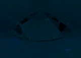 Fluorescence