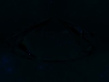 Fluorescence
