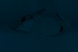 Fluorescence