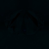 Fluorescence