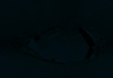 Fluorescence