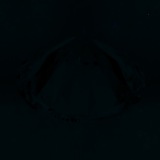 Fluorescence