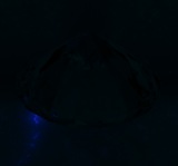 Fluorescence