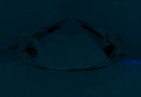 Fluorescence