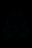 Face-up Fluorescence