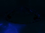 Fluorescence