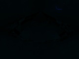 Fluorescence