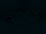 Fluorescence
