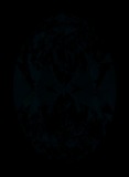 Face-up Fluorescence