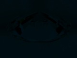 Fluorescence