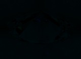 Fluorescence