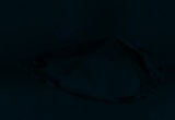 Fluorescence