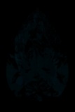 Face-up Fluorescence