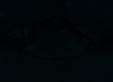 Fluorescence