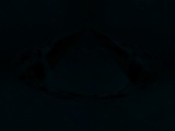 Fluorescence