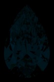 Face-up Fluorescence