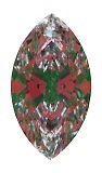 ASET White