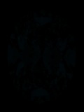 Face-up Fluorescence