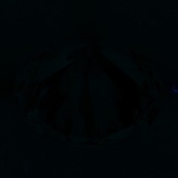 Fluorescence