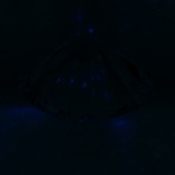 Fluorescence