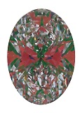 ASET White