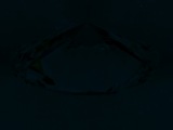 Fluorescence