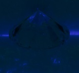 Fluorescence