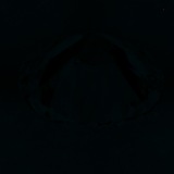 Fluorescence