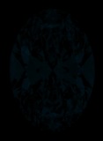 Face-up Fluorescence