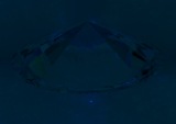 Fluorescence