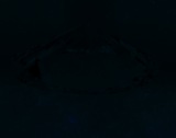 Fluorescence