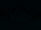 Fluorescence