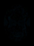Face-up Fluorescence