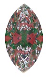 ASET White