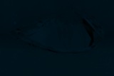 Fluorescence