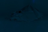 Fluorescence