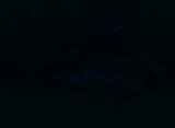 Fluorescence