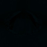 Fluorescence
