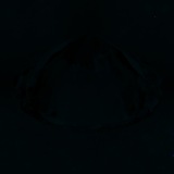 Fluorescence