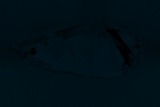 Fluorescence